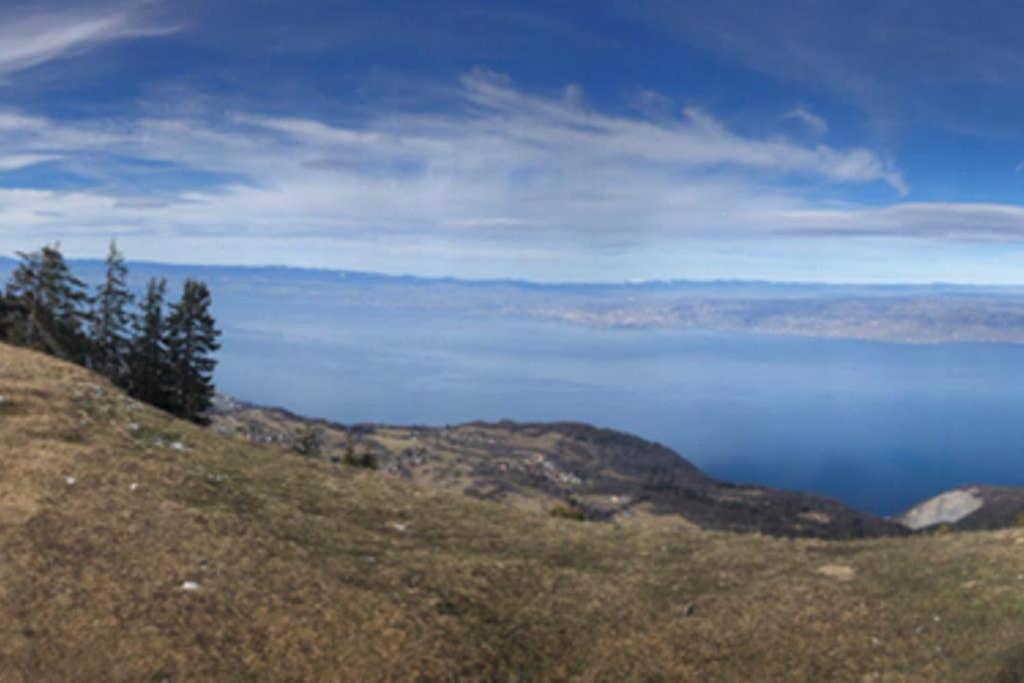 Studio entièrement rénové entre lac et montagne Thollon-les-Mémises Extérieur photo