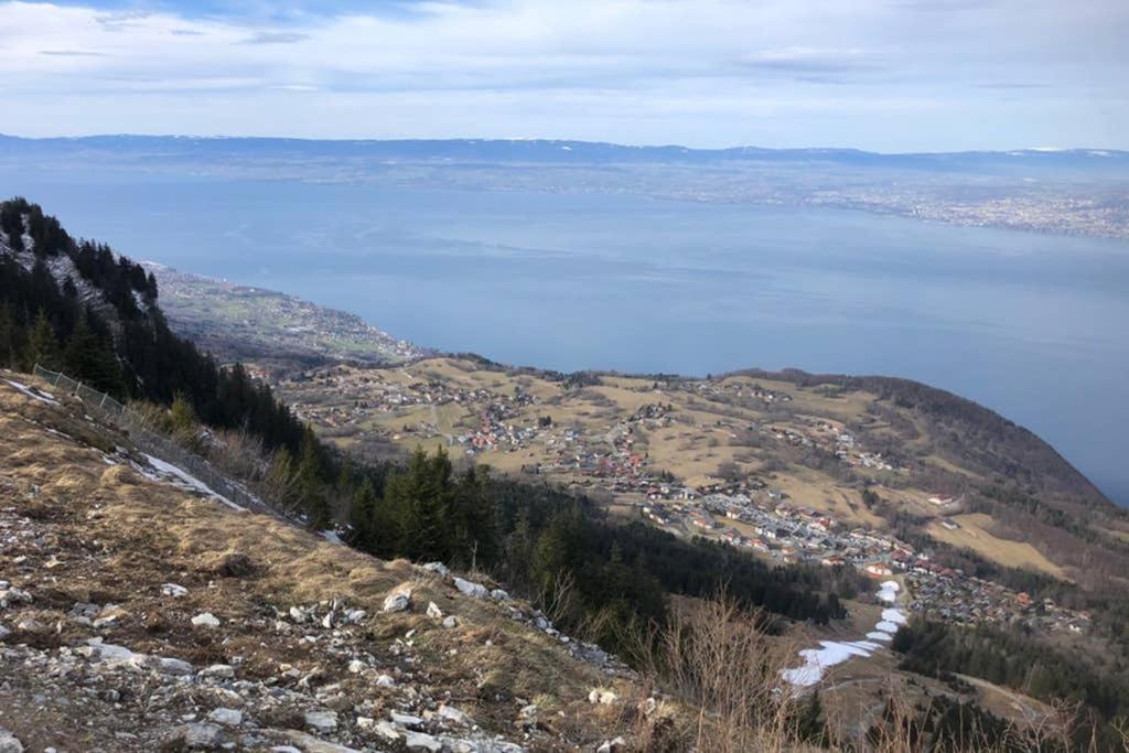 Studio entièrement rénové entre lac et montagne Thollon-les-Mémises Extérieur photo