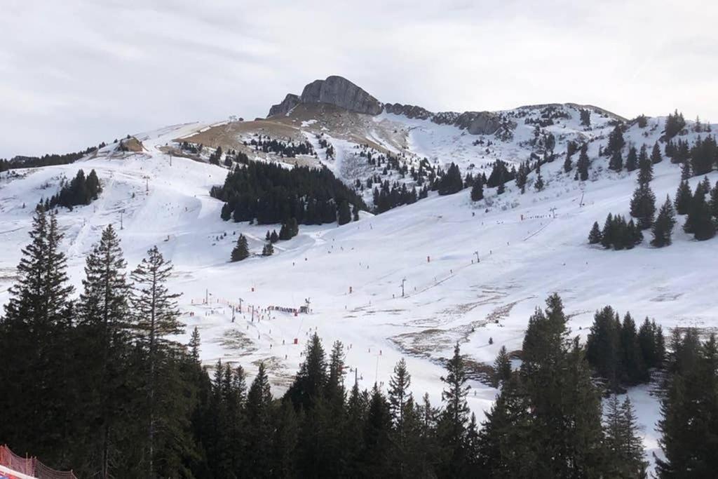 Studio entièrement rénové entre lac et montagne Thollon-les-Mémises Extérieur photo